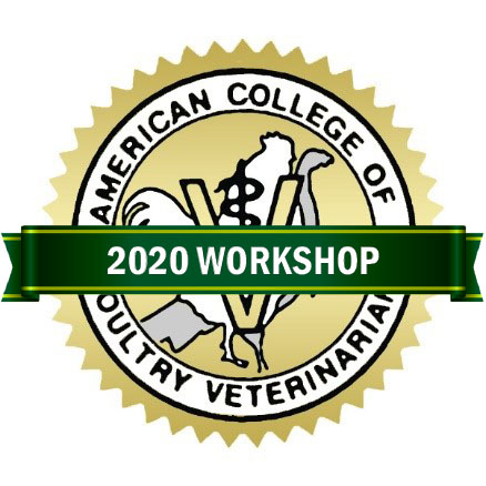 2020 ACPV Workshop Logo